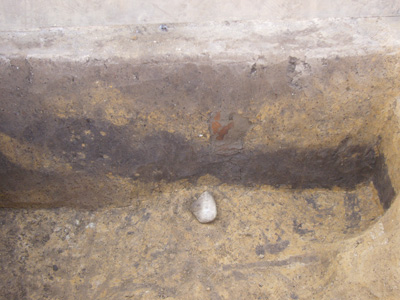 粘土採掘跡の土層断面。粘土層を掘り込んでいる穴の断面です。