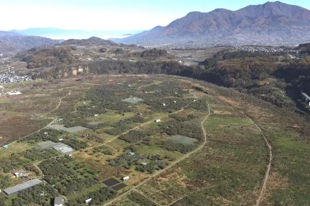 南大原遺跡 2024年度発掘調査情報（1） – 長野県埋蔵文化財センター