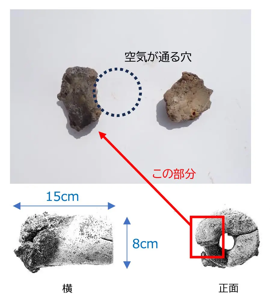 調査情報 – 長野県埋蔵文化財センター